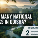 How Many National Parks in Odisha